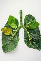 AI generated Human lungs in the form of trees or leaves on a white background photo