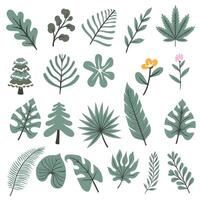 set of tropical leaves and trees vector