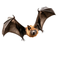 AI generated Realistic Image of Guam Flying Fox, on transparent background. png