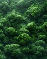 AI generated fluffy moss texture photo