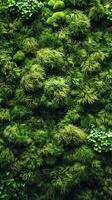 AI generated fluffy moss texture photo