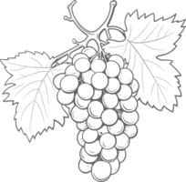AI generated Grapes clipart design illustration png
