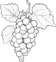 AI generated Grapes clipart design illustration png