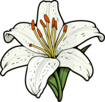 ai généré lis fleur clipart conception illustration png