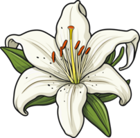 AI generated Lily flower clipart design illustration png