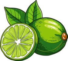 AI generated Lime clipart design illustration png