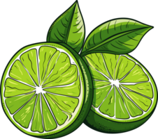 AI generated Lime clipart design illustration png