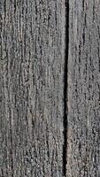 Texture of dark brown wood with white frost patterns. Winter background. photo