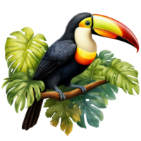 ai genererad en toucan sitter på en gren i de djungel isolerat på transparent bakgrund png