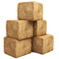 AI generated Bales bundle isolated on transparent background png