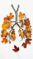 AI generated Human lungs in the form of trees or leaves on a white background photo