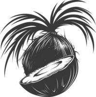 AI generated Silhouette Coconut Fruit black color only vector