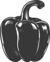 AI generated Silhouette Bell Pepper or Paprika sliced black color only vector