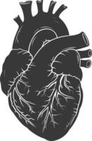 AI generated Silhouette for internal organs of heart black color only vector