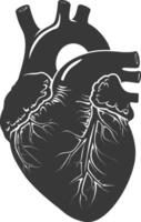 AI generated Silhouette for internal organs of heart black color only vector