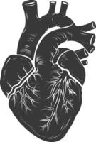 AI generated Silhouette for internal organs of heart black color only vector