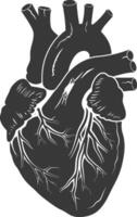 AI generated Silhouette for internal organs of heart black color only vector