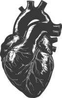 AI generated Silhouette for internal organs of heart black color only vector