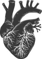 AI generated Silhouette for internal organs of heart black color only vector