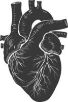 AI generated Silhouette for internal organs of heart black color only vector