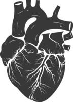 AI generated Silhouette for internal organs of heart black color only vector