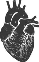 AI generated Silhouette for internal organs of heart black color only vector