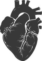 AI generated Silhouette for internal organs of heart black color only vector