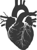 AI generated Silhouette for internal organs of heart black color only vector