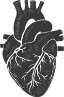 AI generated Silhouette for internal organs of heart black color only vector