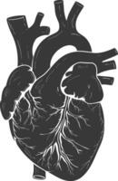 AI generated Silhouette for internal organs of heart black color only vector