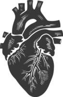 AI generated Silhouette for internal organs of heart black color only vector