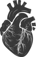 AI generated Silhouette for internal organs of heart black color only vector