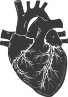 AI generated Silhouette for internal organs of heart black color only vector