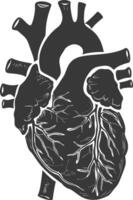 AI generated Silhouette for internal organs of heart black color only vector