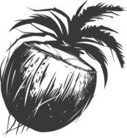 AI generated Silhouette Coconut Fruit black color only vector