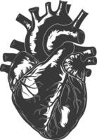 AI generated Silhouette for internal organs of heart black color only vector