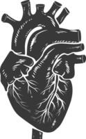 AI generated Silhouette for internal organs of heart black color only vector