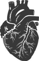 AI generated Silhouette for internal organs of heart black color only vector