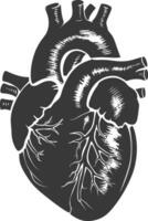 AI generated Silhouette for internal organs of heart black color only vector