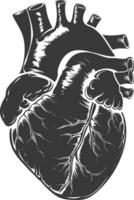 AI generated Silhouette for internal organs of heart black color only vector