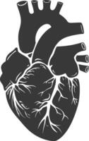 AI generated Silhouette for internal organs of heart black color only vector