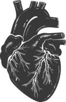 AI generated Silhouette for internal organs of heart black color only vector