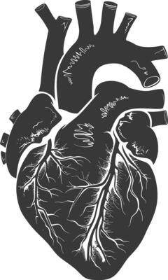 AI generated Silhouette for internal organs of heart black color only