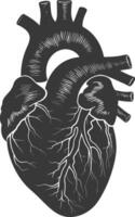 AI generated Silhouette for internal organs of heart black color only vector