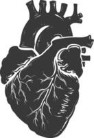 AI generated Silhouette for internal organs of heart black color only vector