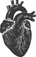 AI generated Silhouette for internal organs of heart black color only vector