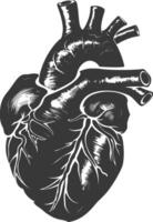 AI generated Silhouette for internal organs of heart black color only vector