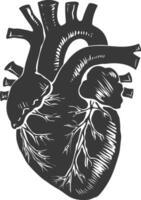 AI generated Silhouette for internal organs of heart black color only vector