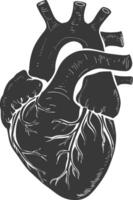 AI generated Silhouette for internal organs of heart black color only vector