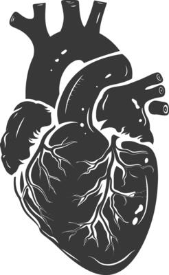 AI generated Silhouette for internal organs of heart black color only